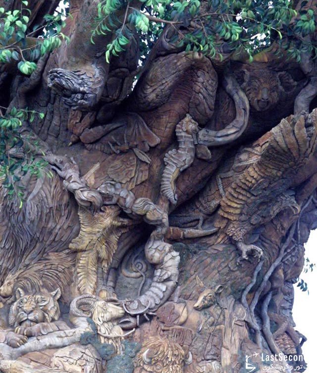 درخت زندگی در پارک قلمرو حیوانات