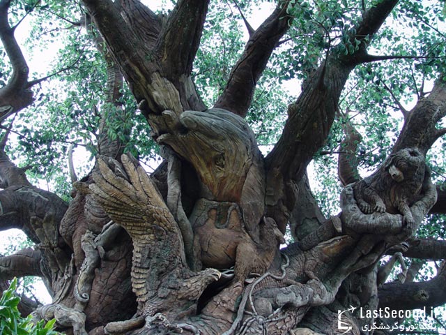 درخت زندگی در پارک قلمرو حیوانات