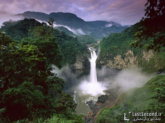 جنگل‌های آمازون