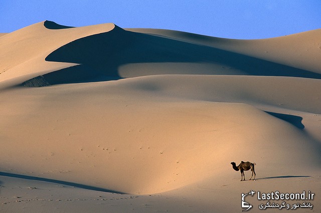 صحرای گبی در مغولستان 